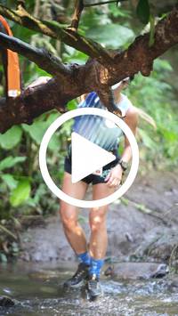 BIB:  <button type="button" onclick="openModal(27825725)" class="btn btn-primary btn-sm float-right" data-toggle="modal" data-target=".modal-high-quality">
                <i class="fa fa-download"></i> Download
                </button>